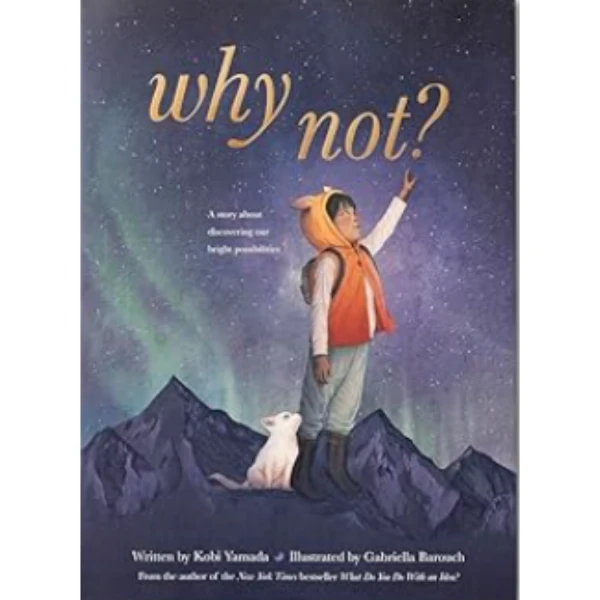 The Why Not by Kobi Yamada, a children's picture book illustrating the awareness of self about the Innovation